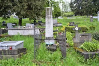 Master file0000061455