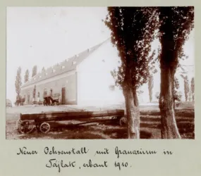 Master file0000053846