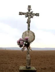 Master file0000060212