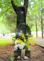 Master file0000059108