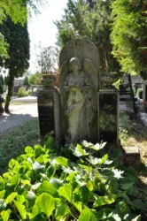 Master file0000080240