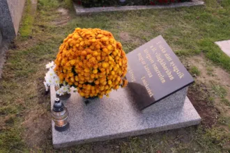 Master file0000063768