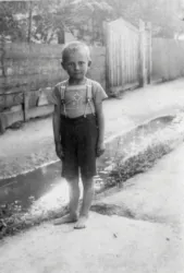 Master file0000057142