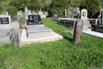 Master file0000059335