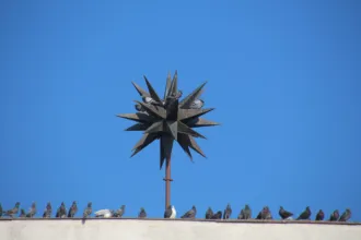 Master file0000070886