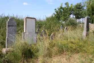 Master file0000058278