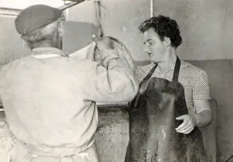 Master file0000057145