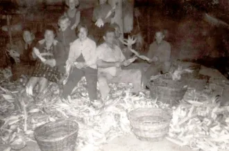 Master file0000055077