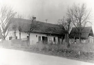 Master file0000054740