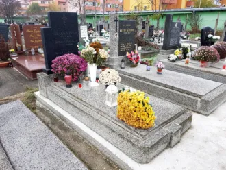 Master file0000058074