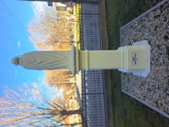 Master file0000081524