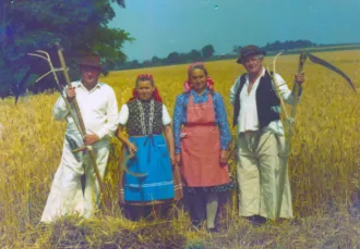 Master file0000055416