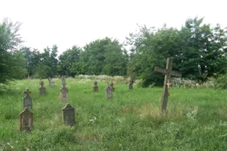 Master file0000078844