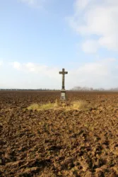 Master file0000058126