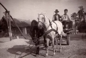 Master file0000055622