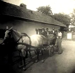 Master file0000057601