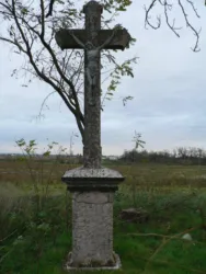 Master file0000064672