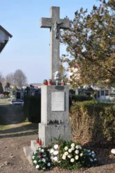 Master file0000061770