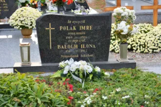 Master file0000058688