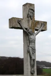 Master file0000069910