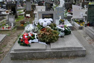 Master file0000058717