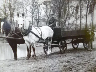 Master file0000055014