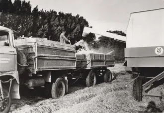 Master file0000056843