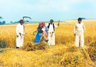 Master file0000057329