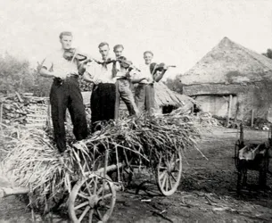 Master file0000054318