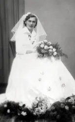 Master file0000055376