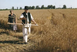 Master file0000056838