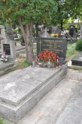 Master file0000070808