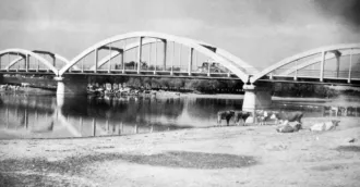 Master file0000054504