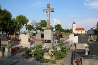 Master file0000061838