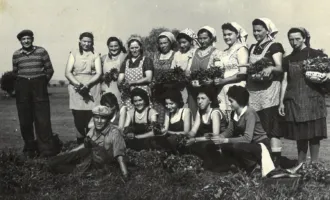 Master file0000080761