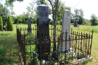 Master file0000071853