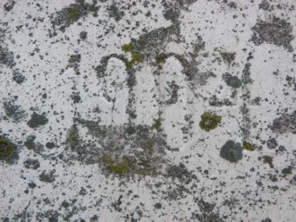 Master file0000059117