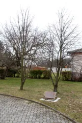 Master file0000063364