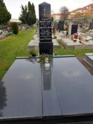 Master file0000067454