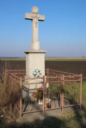 Master file0000063777