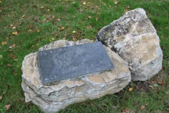 Master file0000059387