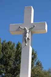 Master file0000064533