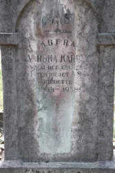 Master file0000058896