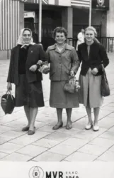 Master file0000054389