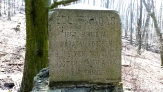 Master file0000059351