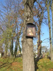 Master file0000064392