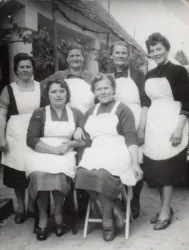 Master file0000056428