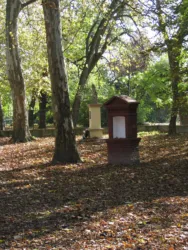 Master file0000062573