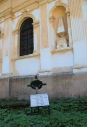 Master file0000063439