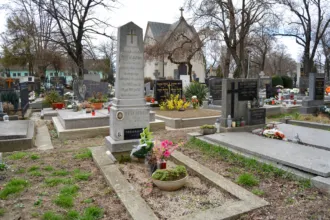 Master file0000058465